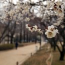 연지공원(김해시 내동 1068) 이미지