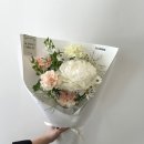 풀도해 이미지