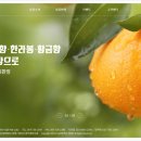 농민후계자직판장