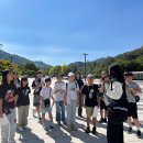 랜선인문학여행 1차 | 2024년 9월 28일(토) 인문학기행 1차 진행했습니다