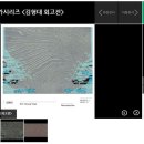 한국현대미술작가시리즈 ＜김형대 회고전＞ // 2016.04.08 - 2016.07.17 // 국립현대미술관 과천관 제 4전시실 및 회랑 일부 이미지