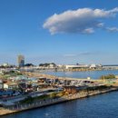 청호활어회센터 이미지