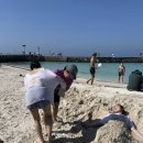 테리구옥 이미지