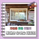 통매산 유아숲체험원 이미지