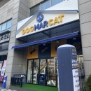 도그마캣신도림거리공원점