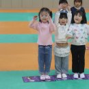 🌱PBL프로젝트-웬디를 구해라🌱 이미지
