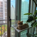 목현6-2소교량 | 9월 셋째 주: what&#39;s on my 발등