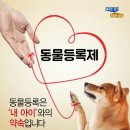 스마일동물의료센터 이미지