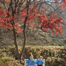 구립맑은숲 어린이집 | [응암동 구립내일어린이집]- 파주 '율곡이이 수목원 견학'-다솜반🌈🍂