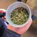 매정공원 | 시드니 여행 페더데일 동물원 쿼카 오픈런 후기