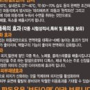 면역공방 이미지