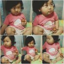 한방농장 이미지