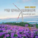 언덕아래집 | [거창 가볼만한 곳] 감악산 별바람언덕 아스타국화 오픈런 후기