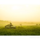 안성농장 이미지