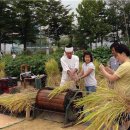 마들근린공원 이미지