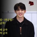 핑크홀리 이미지