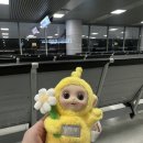 동산샘터 | 2025 제주도