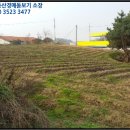 정읍 양덕교차로 이미지