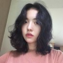 빠마롤 이미지