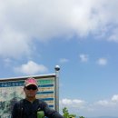 창환농장 Daum카페