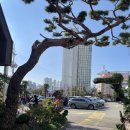 박해윤통영해물밥상 | [동래밥집] 박해윤통영해물밥상 다녀온 후기