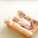 몽하우스 이미지