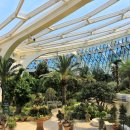 황금이식물원 이미지