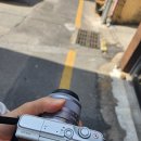 상무관 | 26년 3월 29일 일상 - 광주 도청 임시 개방 다녀온 후기.