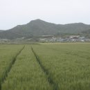 일오삼민박 이미지