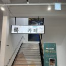 정선 가리왕산 케이블카 | [강원도 정선] 정선 가리왕산 케이블카 내돈내산 후기 및 할인정보