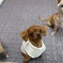 나인동물의료센터 이미지