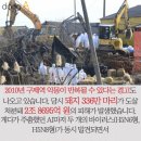 (주)황조 이미지