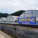 하일초등학교장춘분교장 이미지