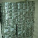 다오시오 이미지