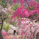 덕수농원 이미지