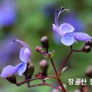 성경속 핵심단어 이미지