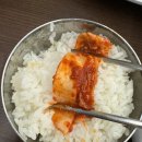 신도림 동태탕 오징어 보쌈 맛집 양은이네 본점 내돈내산
