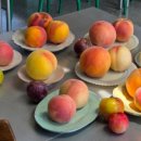 다미농원 이미지