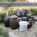 미리내민박 이미지