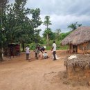 이기수농장 이미지