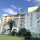 CU제주표선로얄점 | 소노캄제주 리조트 스위트룸 실제 숙박 후기 하트나무와 올레길, 20개월아기와 가족여행 팁