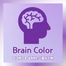브레인컬러연구소 이미지