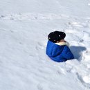 이든목장 이미지