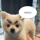 오에프 이미지