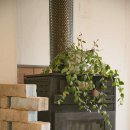 까페능소화 이미지