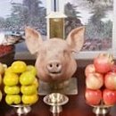 머리이야기 이미지