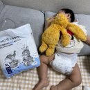 에코쿨잠 | 쿨잠대장 [모모래빗 에코드라이썸머] 사용후기