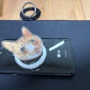 우리 늘 | 우리집 냥이를 늘 곁에 💛 다이노펫 고양이 그립 톡 제작 후기