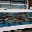 미혜민박 이미지