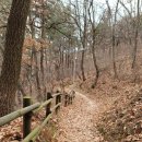 직산농협 농산물산지유통센터 | 천흥저수지수변길 , 시원함과 함께 물뷰 산뷰 걷기 좋은 천흥저수지 수변길